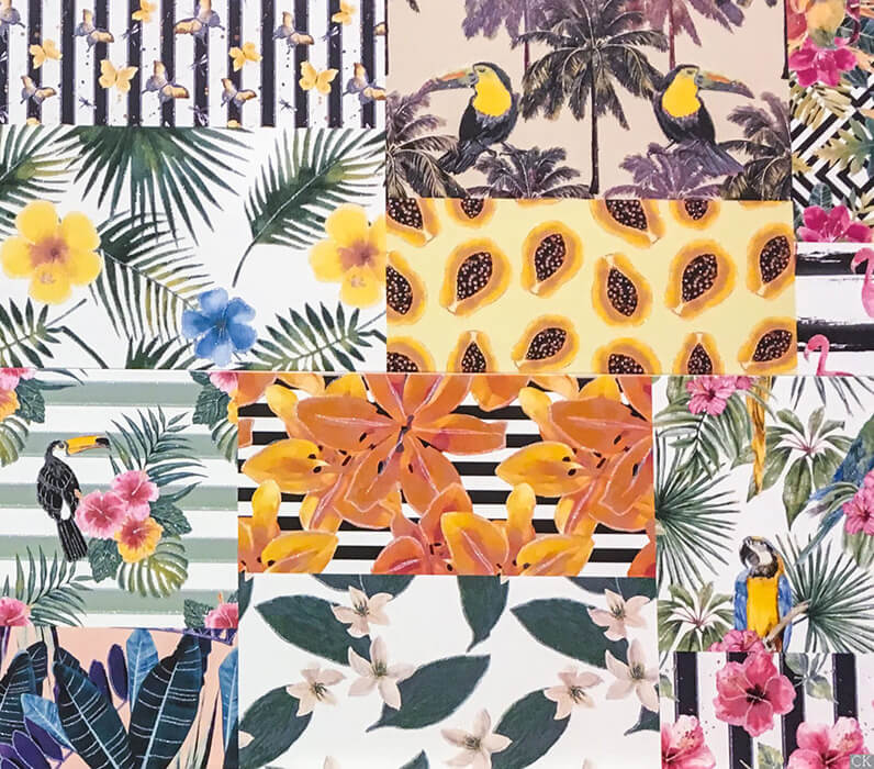 Новая коллекция плитки с туканами потрясающей красоты
