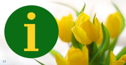 График работы магазинов в праздничные дни - март 2014