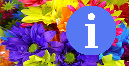 График работы магазинов плитки 8 марта