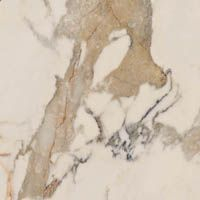 Ariana EPOQUE Ариана ЭПОК 60х60 см PF60004310