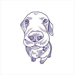 41ZERO42 Stories 41ЗЕРО42 СТОРИС 10х10 см 4101303