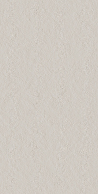 41ZERO42 SUPERCLASSICA SCB 41ЗЕРО42 СУПЕРКЛАССИКА ЭС СИ БИ 60х120 см 4101001