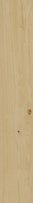 Италон ELEMENT WOOD (АРХИВ) Италон ЭЛЕМЕНТ ДЕРЕВА 20х120 см 610010001089