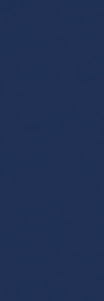 Love Ceramic GENESIS Лове Cерамиc ГЕНЕЗИС 35х100 см 635.0127.0081