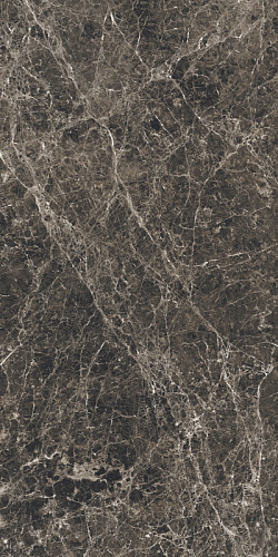 REX Ceramiche LES BIJOUX DE REX РЕX Cерамиче ЛЕС БИЖУ ДЕ РЕКС 60х120 см 766335 REX Ceramiche LES BIJOUX DE REX РЕX Cерамиче ЛЕС БИЖУ ДЕ РЕКС 60х120 см 766335