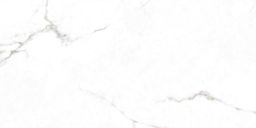 MONOPOLE AUGUSTA МОНОПОЛЕ АВГУСТА 59х119 см 8475402538918