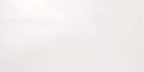 Atlas Concorde DWELL (АРХИВ) Атлас Cонcорде ДВЕЛЛ 40х80 см 8DWI