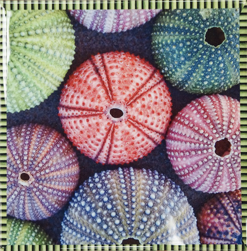 Aparici ART (АРХИВ) Апариcи АРТ 20х20 см AP-02139_1