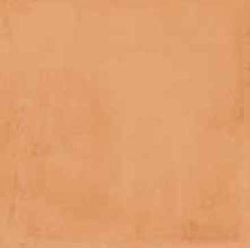 Sant Agostino VITA Сант Агостино ВИТА 20х20 см CSA-CTT2020