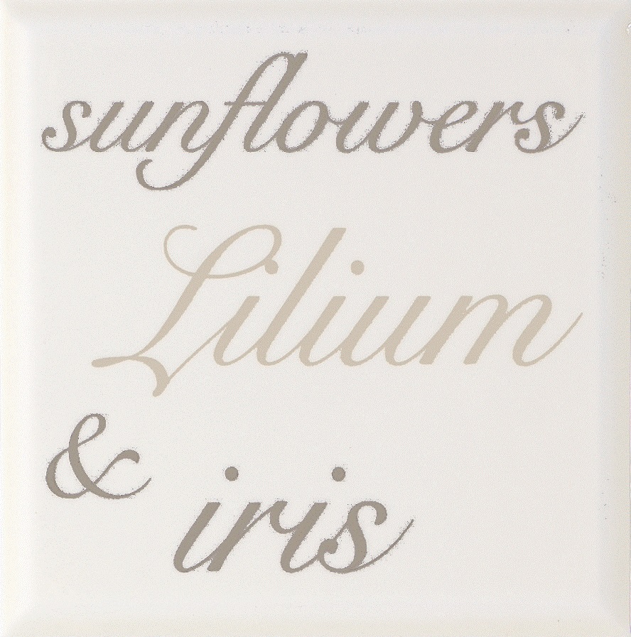 ABK ETOILE АБК ЭТУАЛЬ 20х20 см EO406