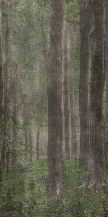 ABK WIDE & STYLE 160x320 АБК ЛИНИЯ И СТИЛЬ 160х320 160х320 см PF60001609