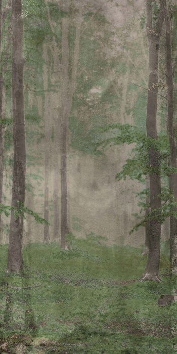 ABK WIDE & STYLE 160x320 АБК ЛИНИЯ И СТИЛЬ 160х320 160х320 см PF60001610