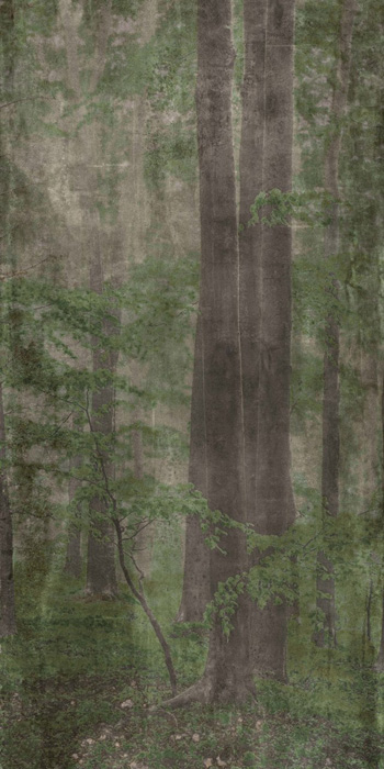 ABK WIDE & STYLE 160x320 АБК ЛИНИЯ И СТИЛЬ 160х320 160х320 см PF60001611