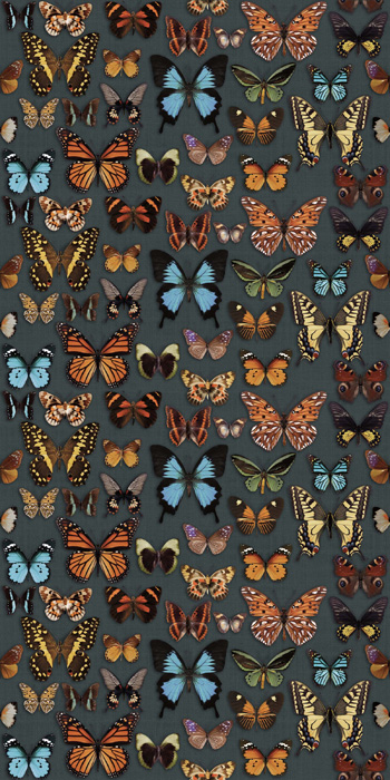 ABK WIDE & STYLE 160x320 АБК ЛИНИЯ И СТИЛЬ 160х320 160х320 см PF60003714