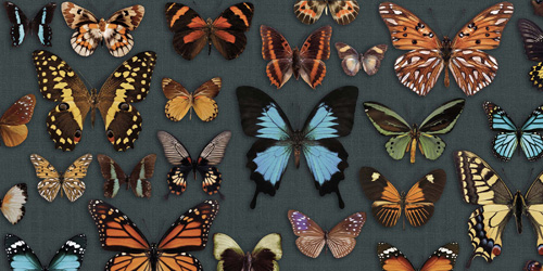 ABK WIDE & STYLE 60x120 АБК ЛИНИЯ И СТИЛЬ 60х120 60х120 см PF60003716