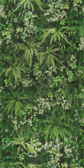 ABK WIDE & STYLE 120x240 АБК ЛИНИЯ И СТИЛЬ 120х240 120х240 см PF60003727