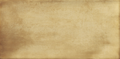 Mainzu TREVISO (АРХИВ) Маинзу ТРЕВИЗО 10х20 см PT02255