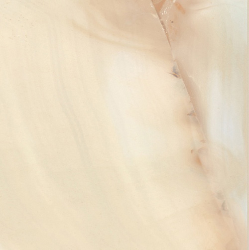 ALABASTRI DI REX АЛАБАСТРИ ДИ РЕКС 80х80 см REX739815