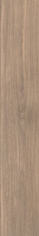 Caesar COCOON Cаесар КОКУН 20х120 см AGIR