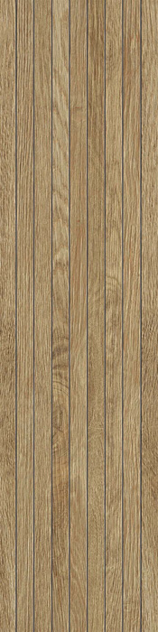 Atlas Concorde ARBOR (АРХИВ) Атлас Cонcорде АРБОР 22.5х90 см AN36