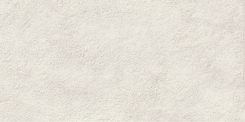 Atlas Concorde RAW floor (АРХИВ) Атлас Cонcорде РОУ пол 30х60 см APMG