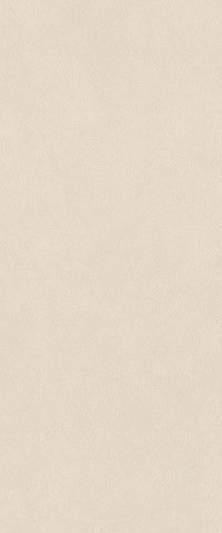 Atlas Concorde BOOST NATURAL Атлас Cонcорде БУСТ НЭЙЧУРАЛ 50х120 см A64P