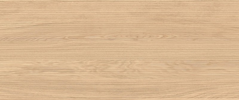 Atlas Concorde LOG Атлас Cонcорде ЛОГ 50х120 см AX17