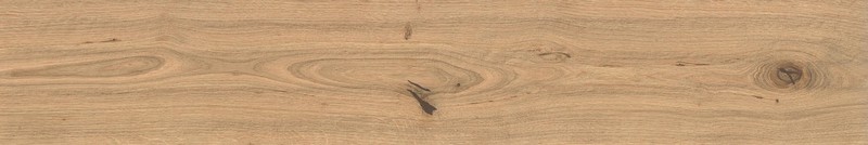 Atlas Concorde LOG Атлас Cонcорде ЛОГ 20х120 см AX3A