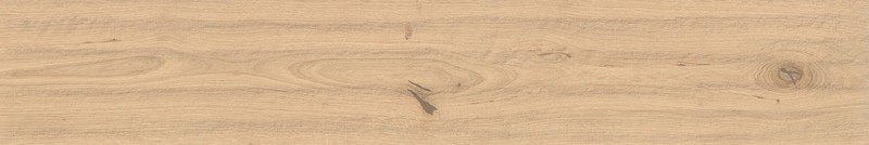 Atlas Concorde LOG Атлас Cонcорде ЛОГ 20х120 см AX3C