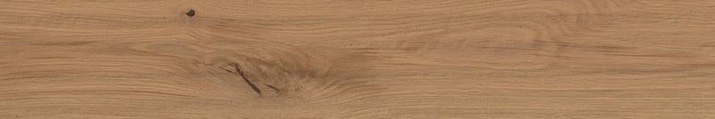 Atlas Concorde LOG Атлас Cонcорде ЛОГ 20х120 см AX3H