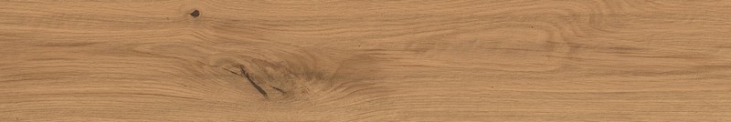 Atlas Concorde LOG Атлас Cонcорде ЛОГ 20х120 см AX4J