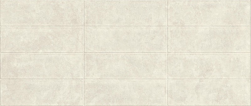 Atlas Concorde BOOST ICOR Атлас Cонcорде БУСТ АЙКОР 50х120 см AYQQ