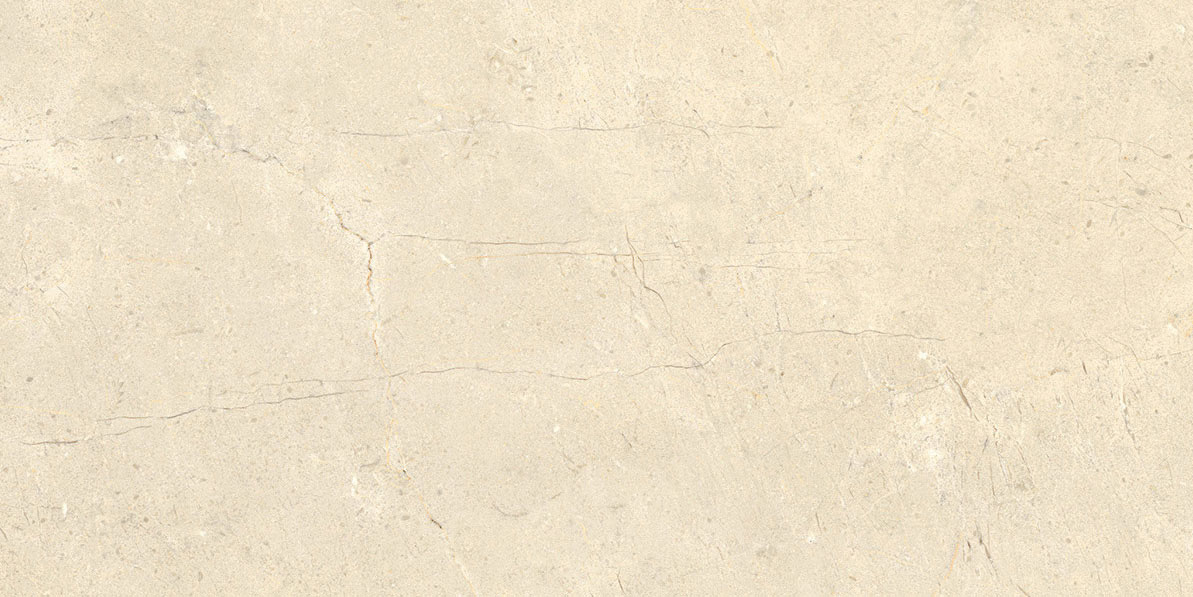 CALCIS КАЛЬЧИС  30х60 см CL0163