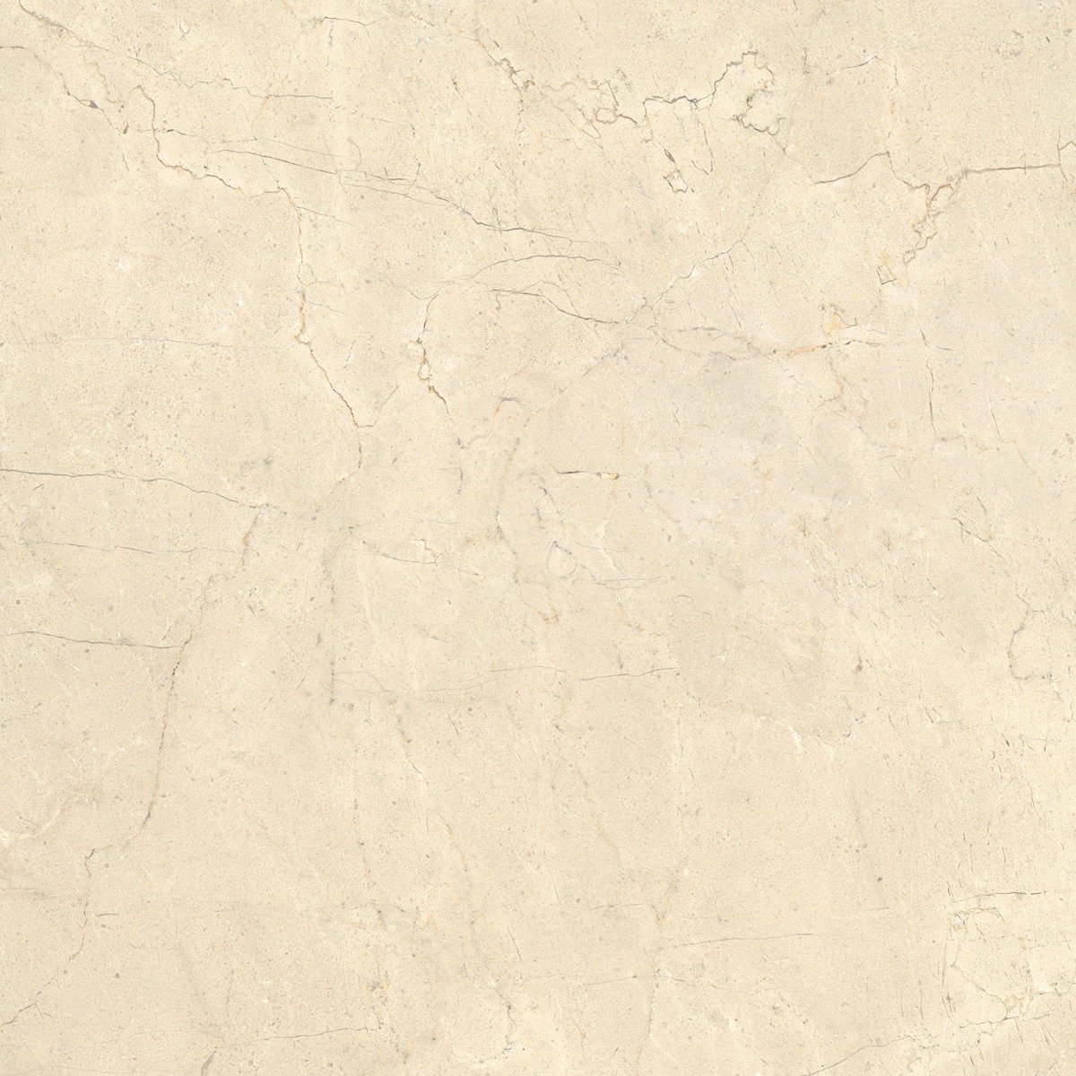 CALCIS КАЛЬЧИС  80х80 см CL0188