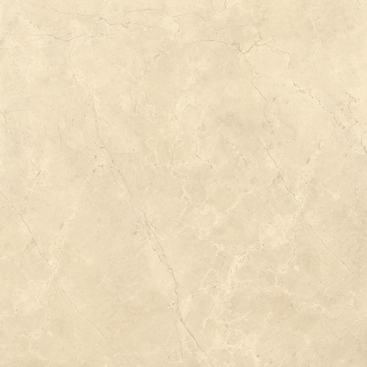 CALCIS КАЛЬЧИС  120х120 см CL0212