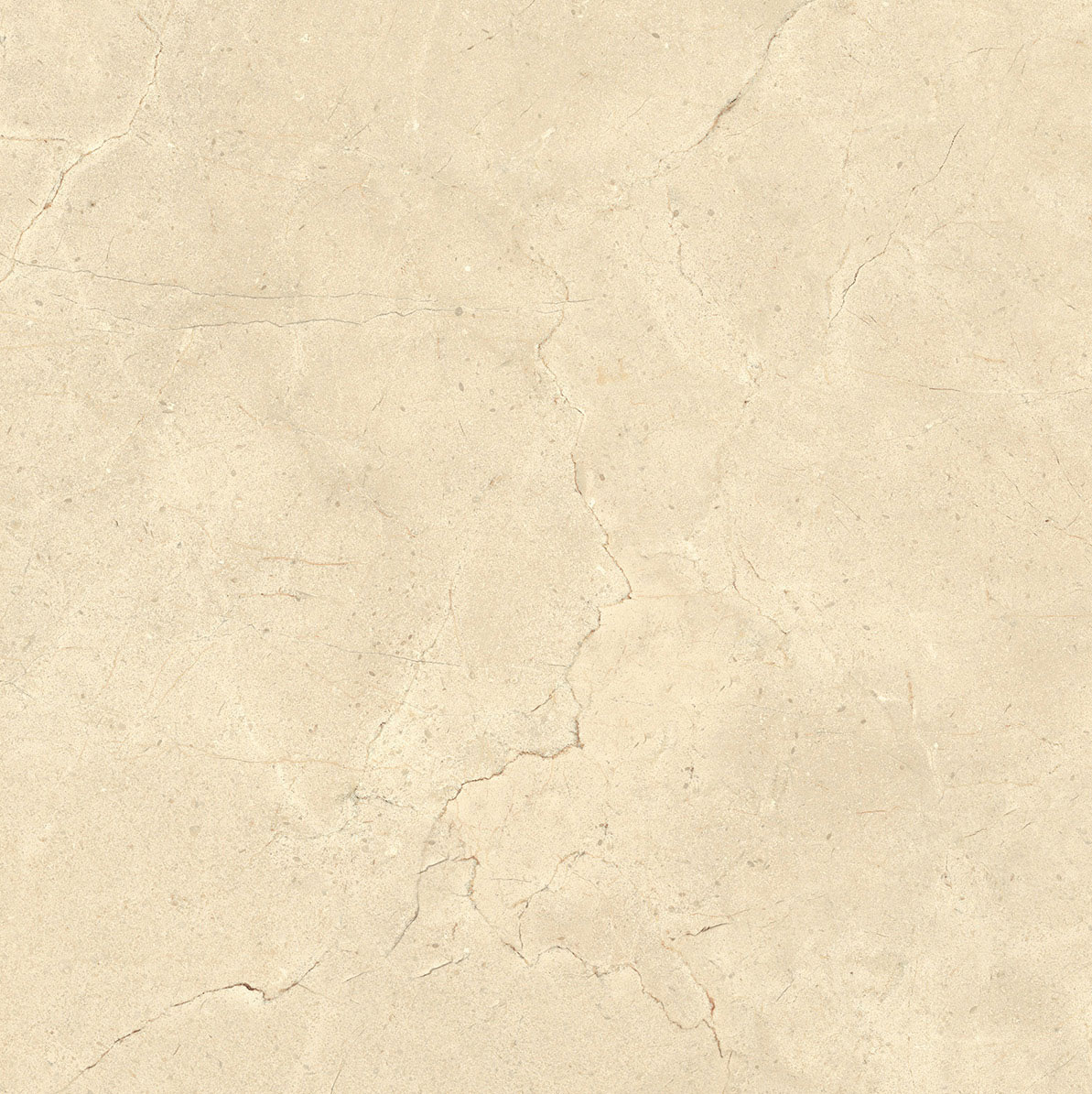 CALCIS КАЛЬЧИС  60х60 см CL0268