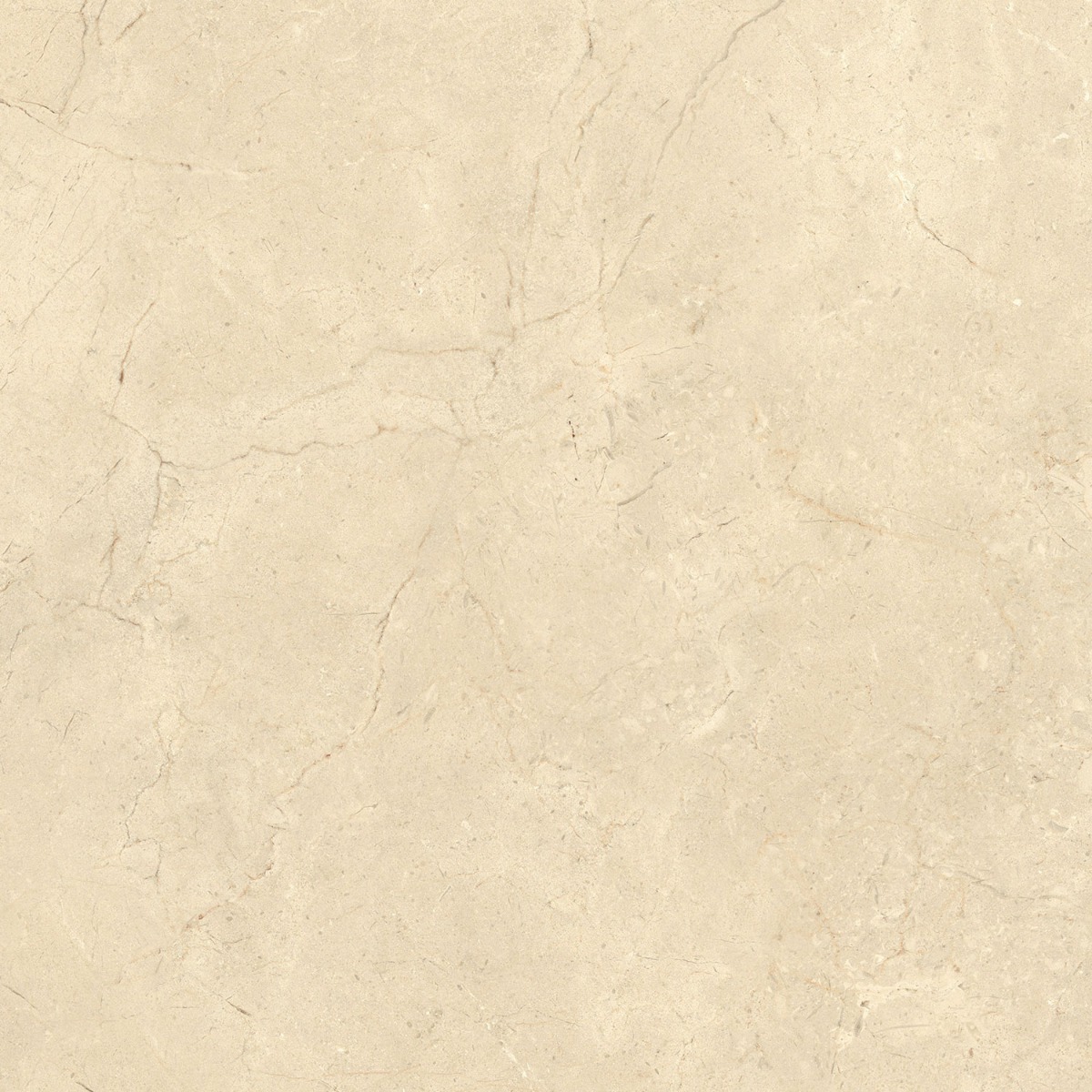 CALCIS КАЛЬЧИС  80х80 см CL0288