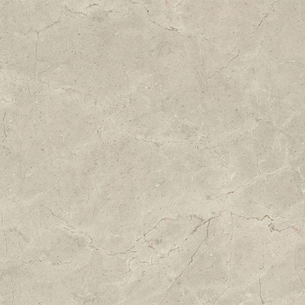 CALCIS КАЛЬЧИС  80х80 см CL03882