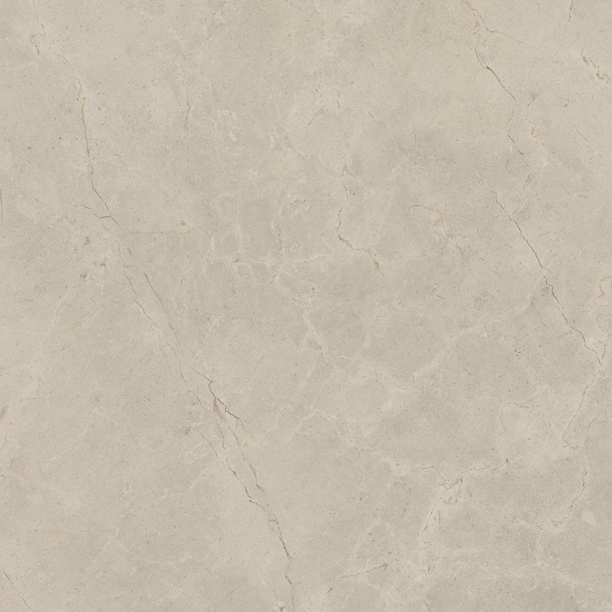 CALCIS КАЛЬЧИС  80х80 см CL0388