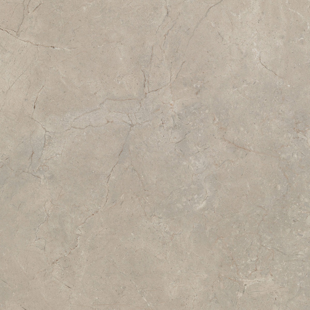 CALCIS КАЛЬЧИС  80х80 см CL04882