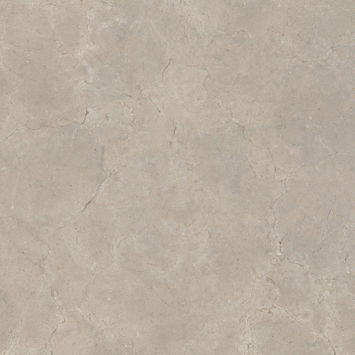 CALCIS КАЛЬЧИС  80х80 см CL0488