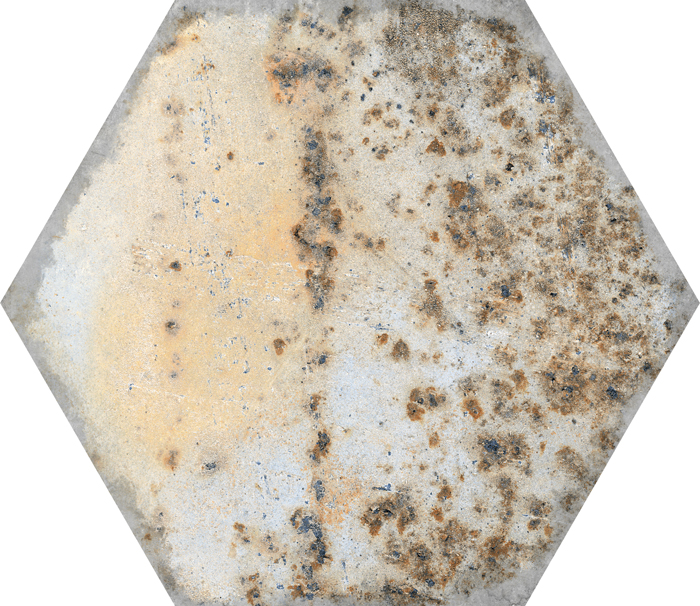 Codicer (Временно не поставляется) DORNE (АРХИВ) Cодиcер (Временно не поставляется) ДОРН 22х25 см cod-d002_5