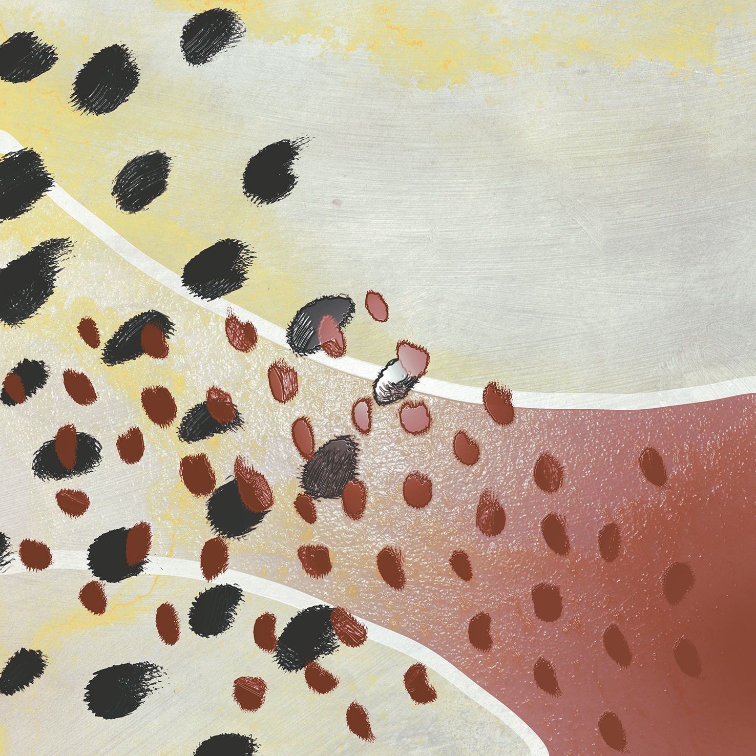 Codicer (Временно не поставляется) MOOREA (АРХИВ) Cодиcер (Временно не поставляется) МУРЕА 25х25 см cod-mor002_19