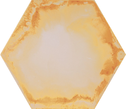 Codicer (Временно не поставляется) RAKTION (АРХИВ) Cодиcер (Временно не поставляется) РАКТИОН 22х25 см cod-r001_4