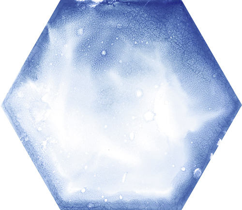 Codicer (Временно не поставляется) RAKTION (АРХИВ) Cодиcер (Временно не поставляется) РАКТИОН 22х25 см cod-r001_5