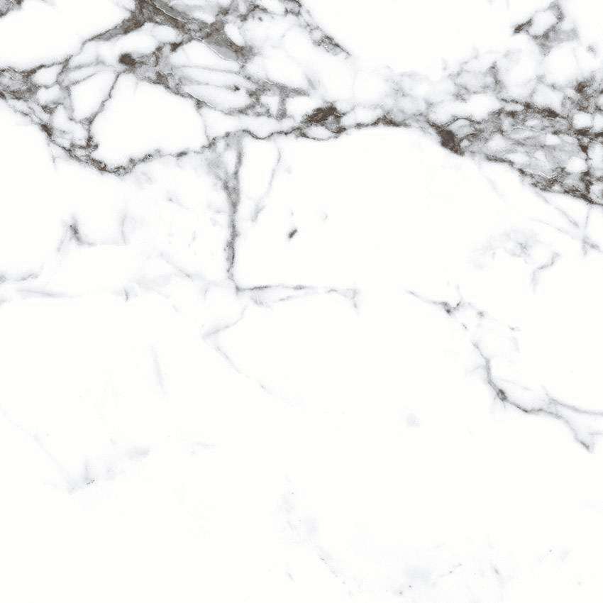 PRIMAVERA PRIMAVERA 60х60 ПРИМАВЕРА ПРИМАВЕРА 60x60 60х60 см CR103