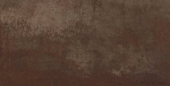 44DS09R