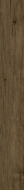 610010004181