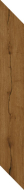 610010004218