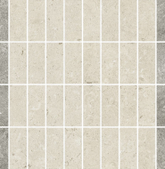 620110000255